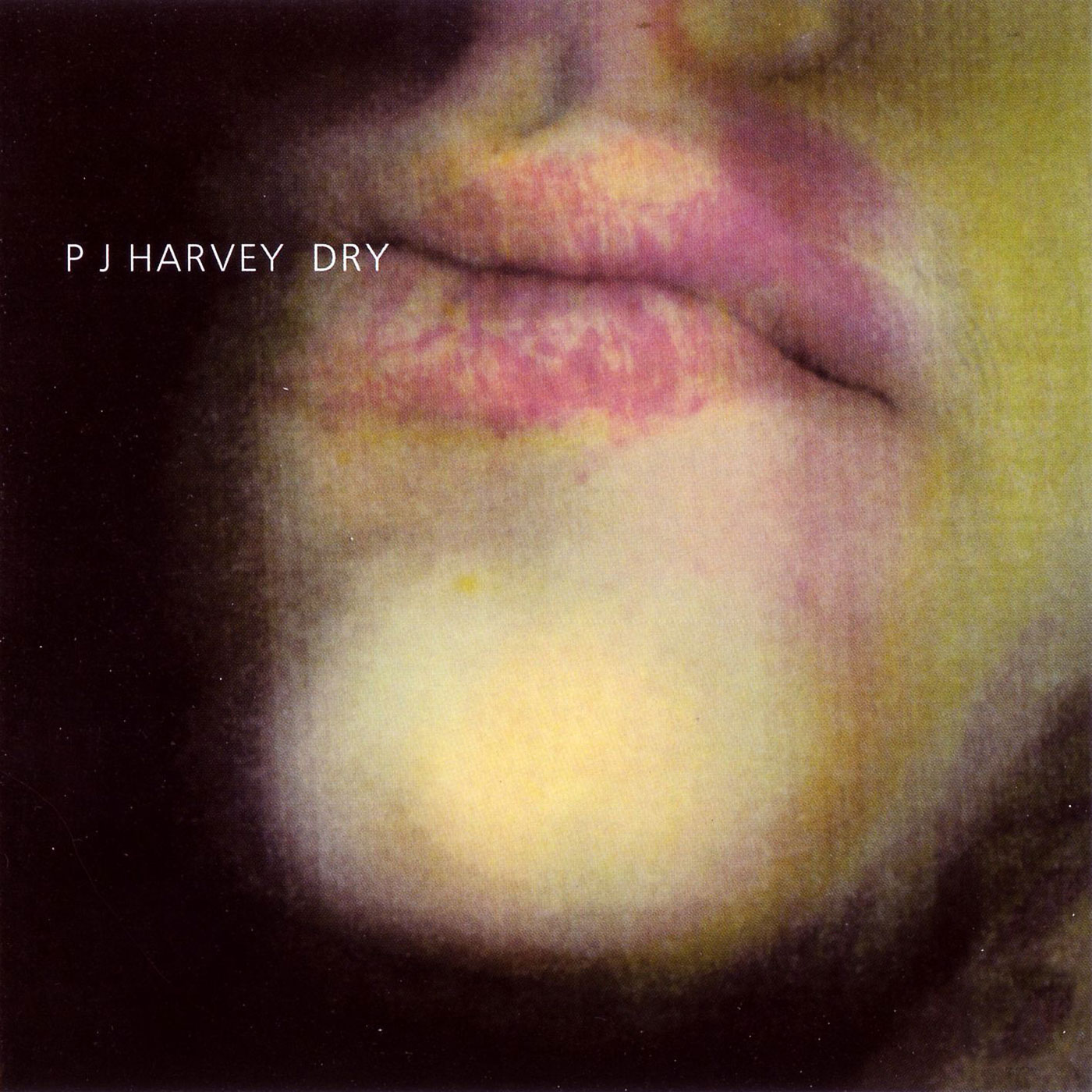 733 PJ Harvey – Dry