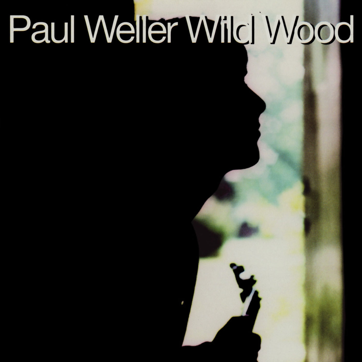 735 Paul Weller – Wild Wood