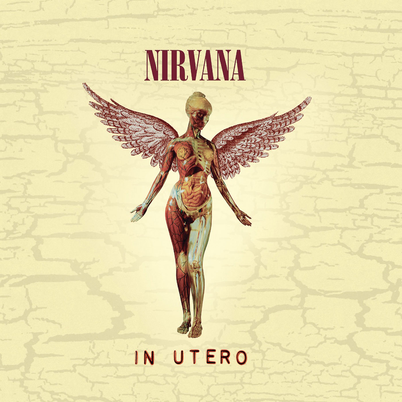 742 Nirvana – In Utero