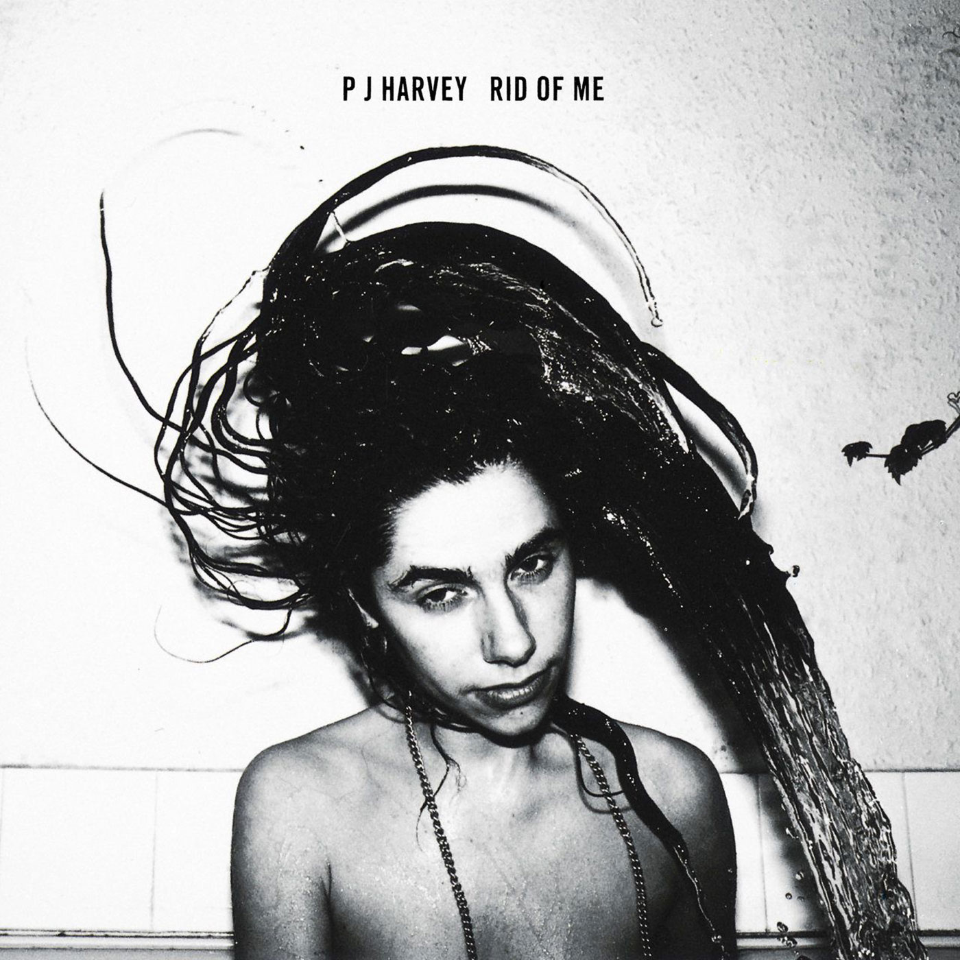 PJ Harvey – Rid of Me